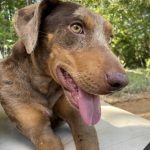 23C7FAB5-5453-4E6A-9813-9084D89904DA_1_105_c