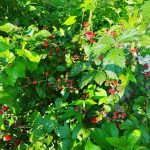 685715DD-8956-4D11-9633-8E2FF1442644