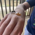 6BF34D74-C2DA-49B9-B82A-5011C7CEAE64_1_105_c